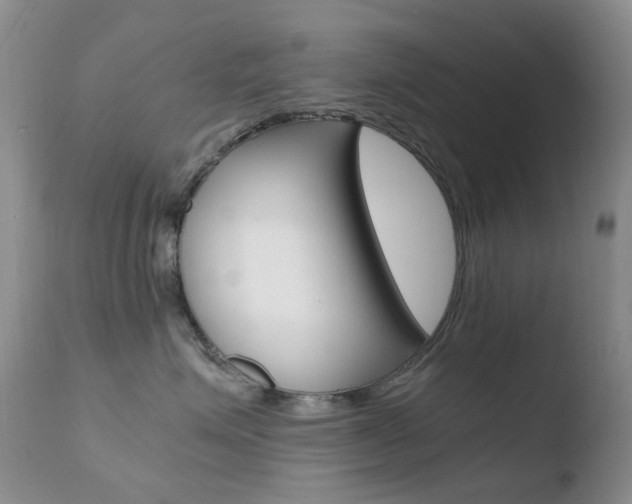 X0000110770623200906150955