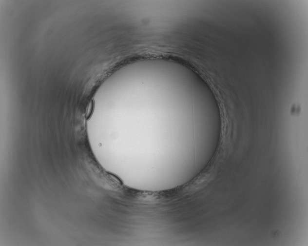 X0000110770624200906150955