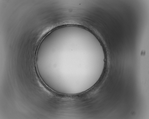 X0000110770625200906150954