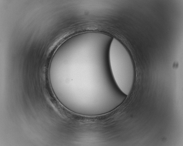 X0000110770626200906150954