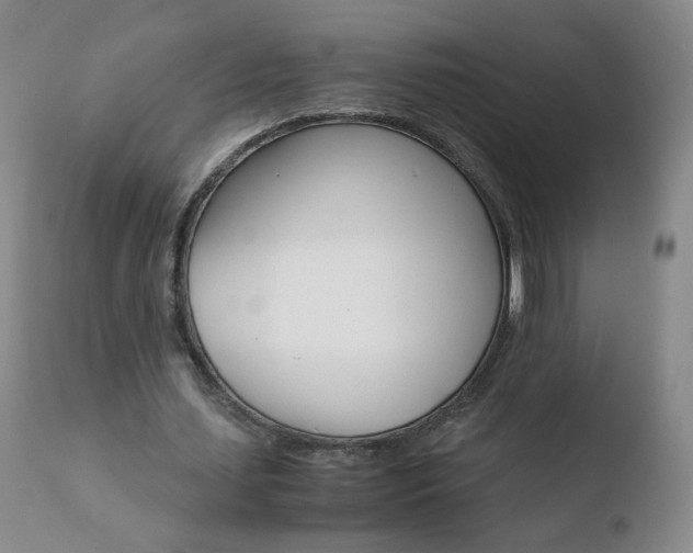 X0000110770627200906150954