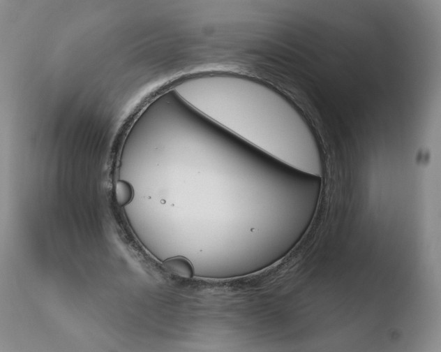 X0000110770628200906150954