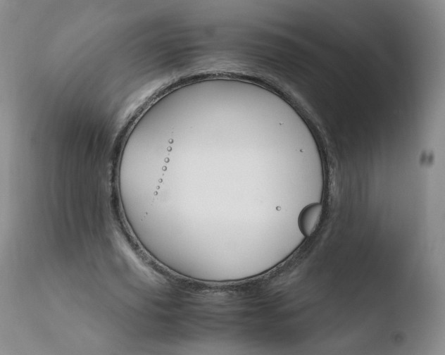 X0000110770629200906150954