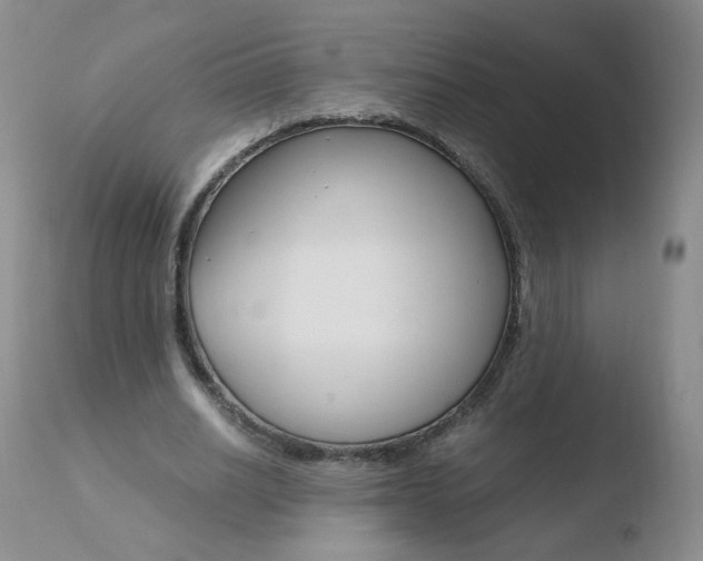 X0000110770630200906150954