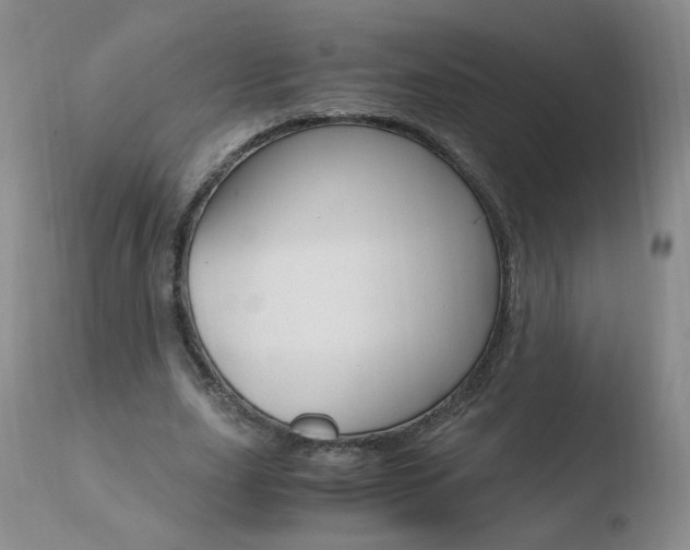 X0000110770631200906150954
