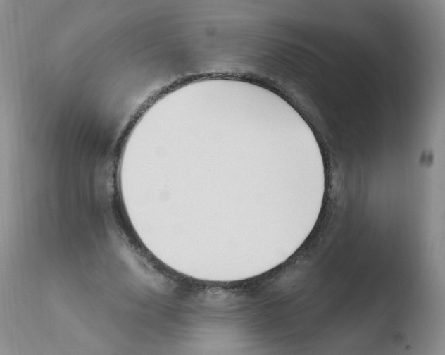 X0000110770632200906150954