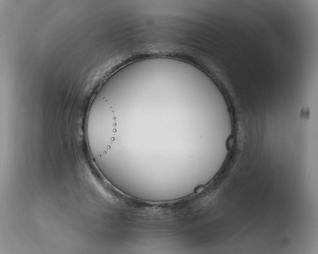 X0000110770633200906150954