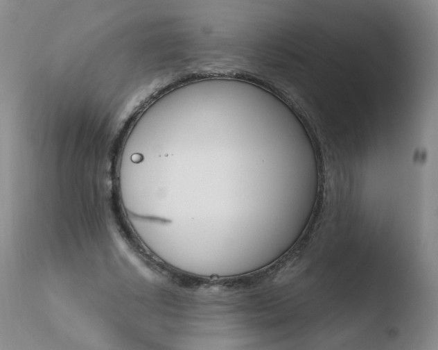 X0000110770634200906150954