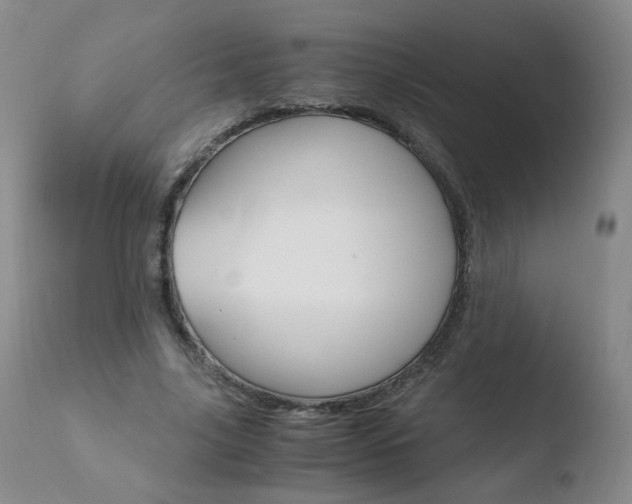 X0000110770635200906150954