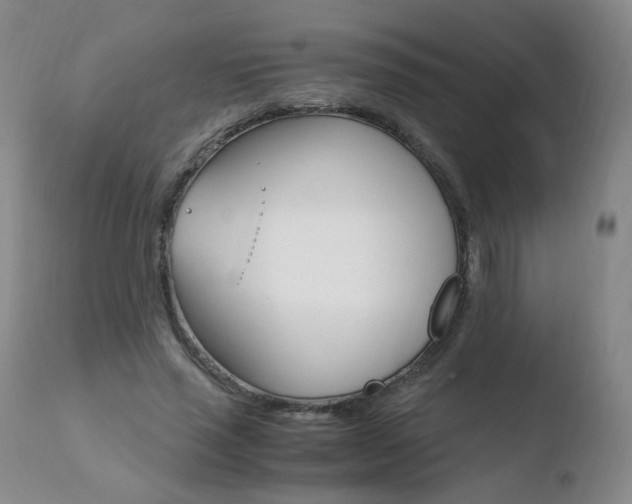 X0000110770637200906150954
