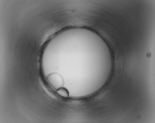 X0000110770638200906150955