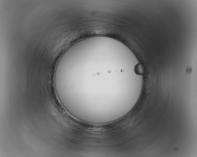 X0000110770639200906150955