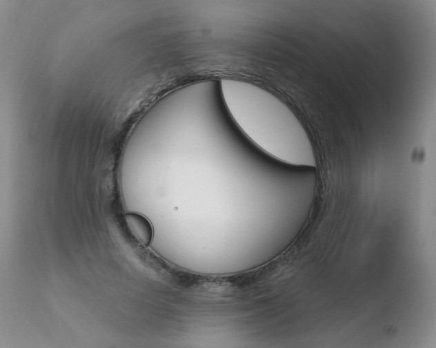 X0000110770642200906150955