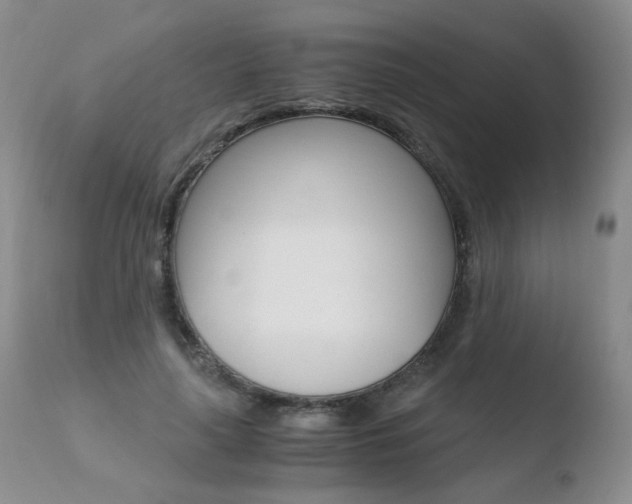 X0000110770643200906150955