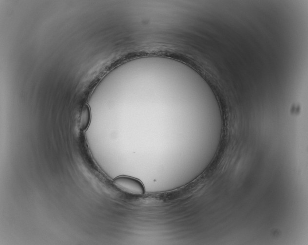 X0000110770644200906150955
