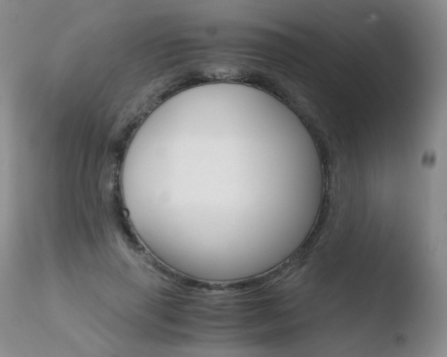 X0000110770645200906150955