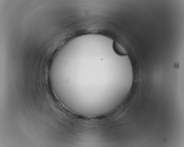 X0000110770646200906150955