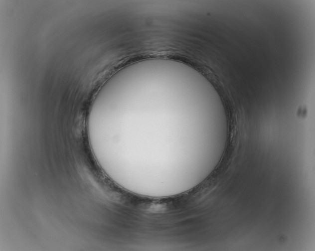 X0000110770647200906150955