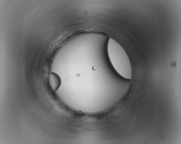 X0000110770648200906150955