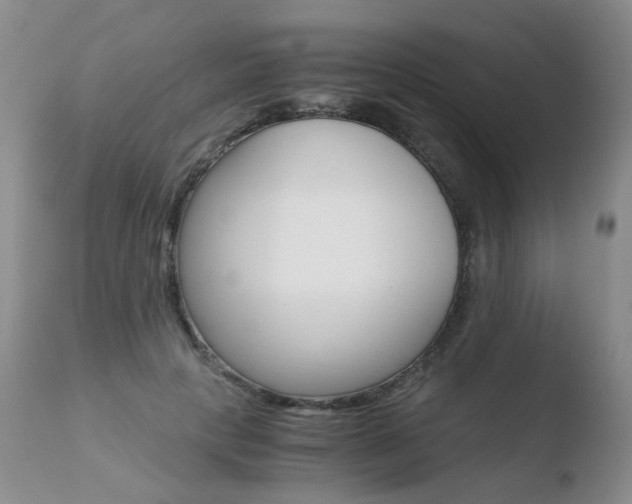 X0000110770649200906150955
