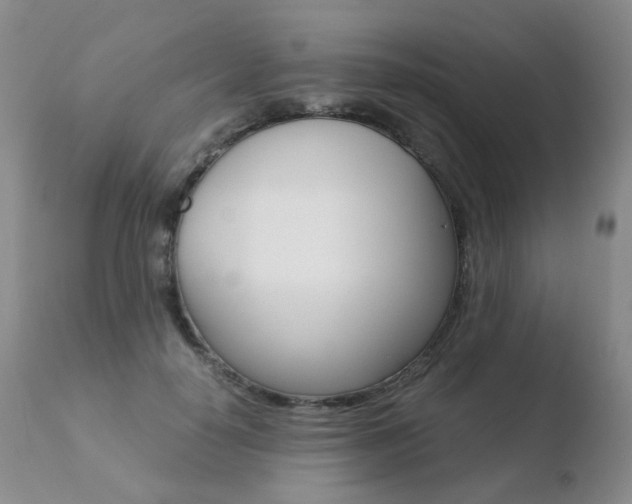 X0000110770650200906150955