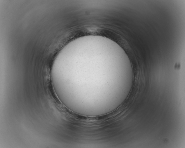 X0000110770651200906150955