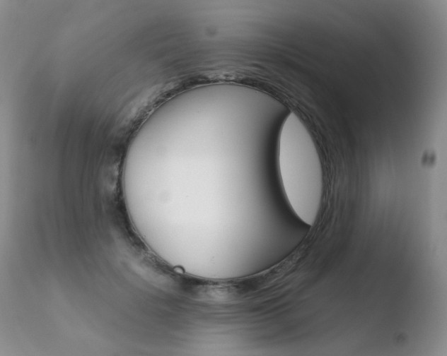 X0000110770652200906150955