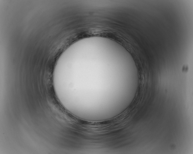 X0000110770653200906150955