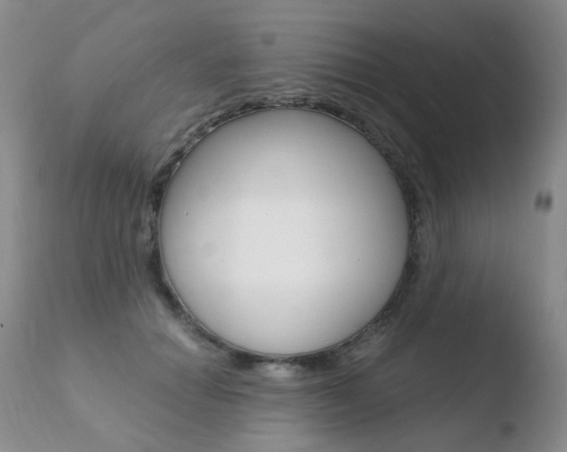 X0000110770654200906150955