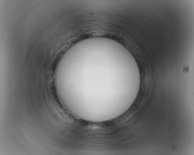 X0000110770655200906150955