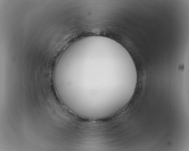 X0000110770656200906150955