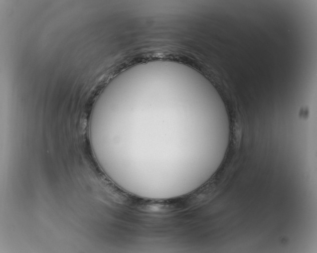 X0000110770657200906150955