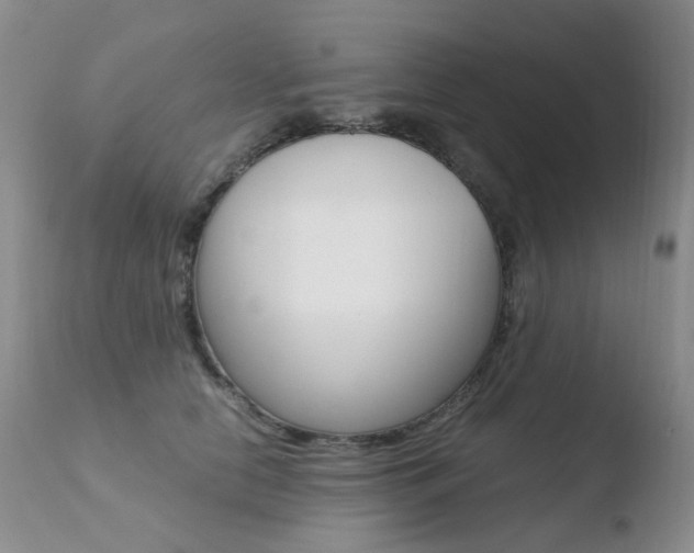 X0000110770658200906150955