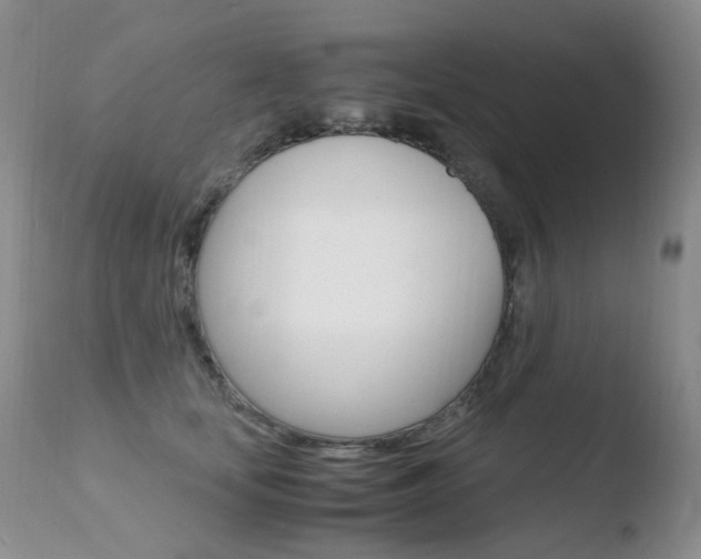 X0000110770659200906150955