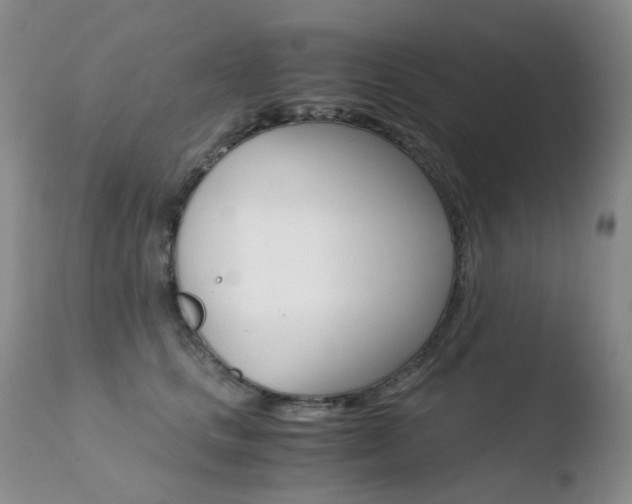 X0000110770661200906150955