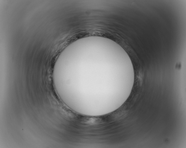 X0000110770663200906150955