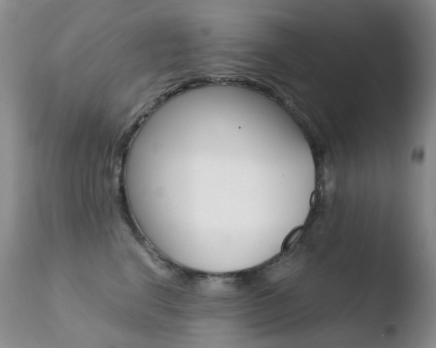 X0000110770664200906150955