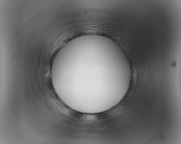 X0000110770665200906150955