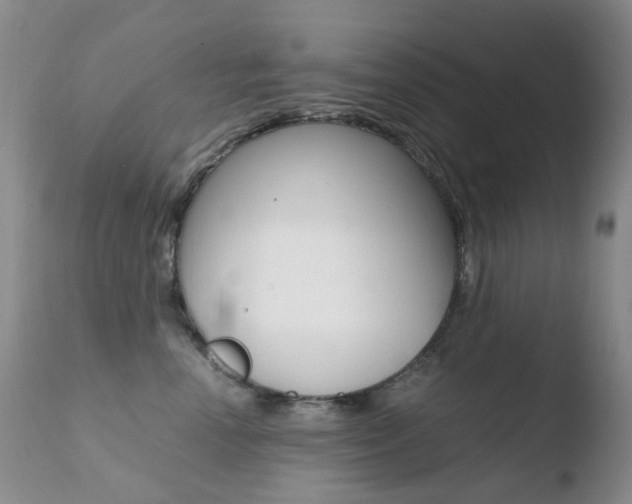 X0000110770666200906150955