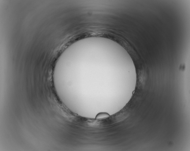 X0000110770667200906150955