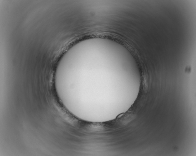 X0000110770668200906150955