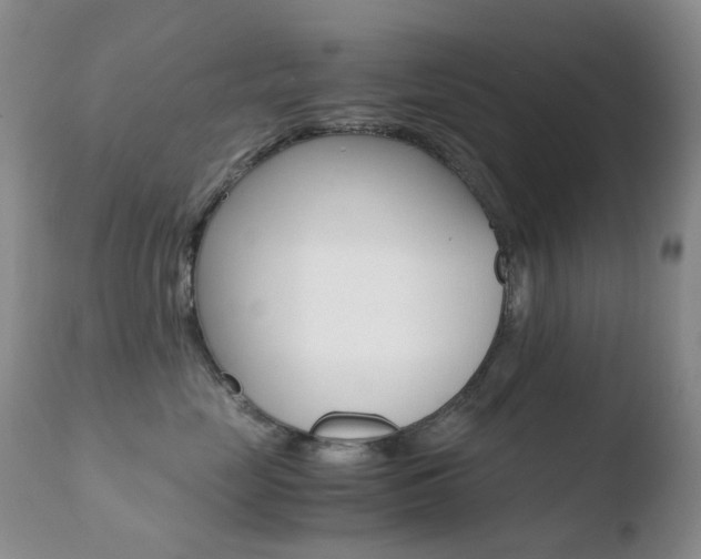 X0000110770669200906150955