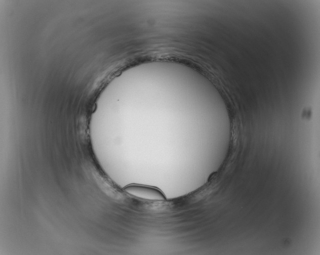 X0000110770670200906150955