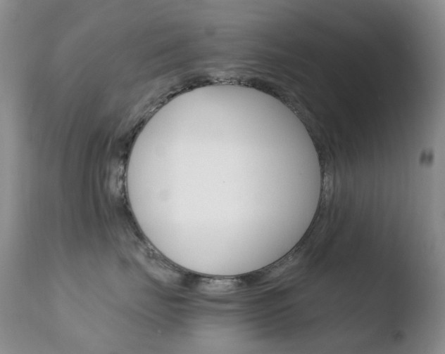 X0000110770671200906150955