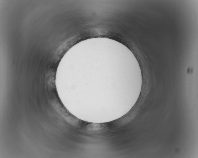 X0000110770672200906150955