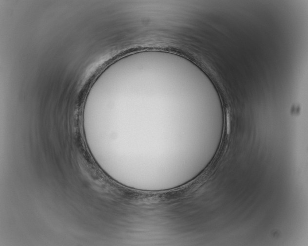 X0000110770675200906150954