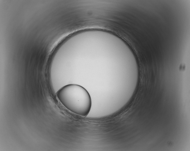 X0000110770676200906150954
