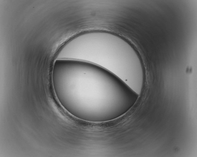 X0000110770677200906150954