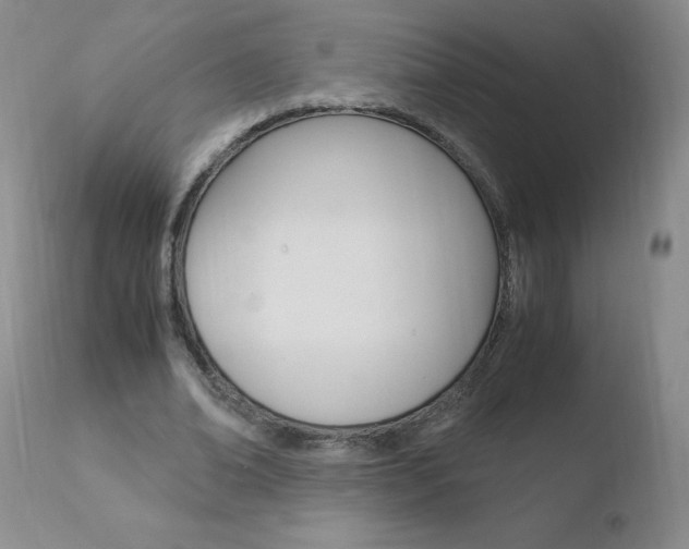 X0000110770678200906150954