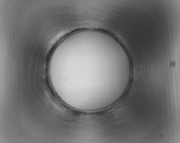 X0000110770679200906150954